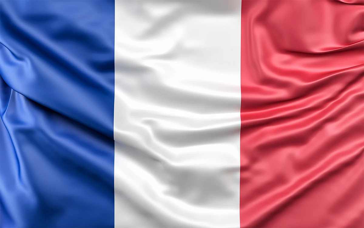 LinguaTranscript - Cursuri de limba franceza